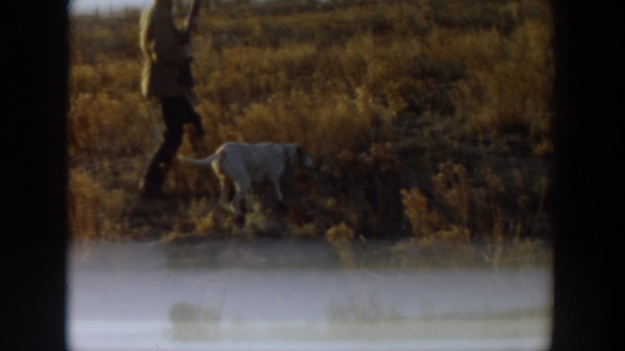 A distant figure stands or walks near a white dog in an open dry field, with late-day light and soft 8mm focus.