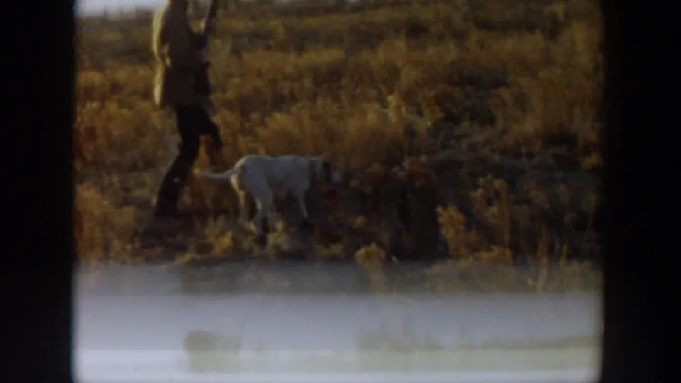 A distant figure stands or walks near a white dog in an open dry field, with late-day light and soft 8mm focus.