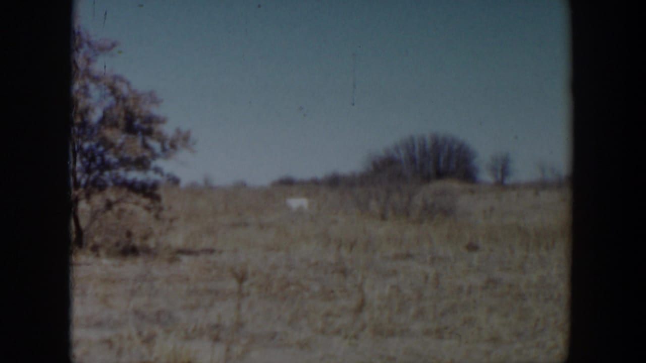 1957 Lubbock-area 8mm frame showing a dry field, leafless trees, pale sky, and a small distant white shape.