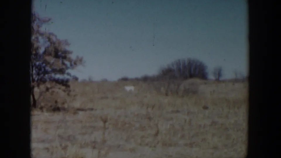 1957 Lubbock-area 8mm frame showing a dry field, leafless trees, pale sky, and a small distant white shape.