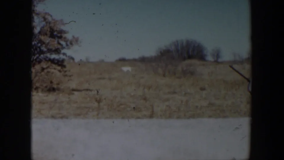 1957 Lubbock-area field view with dry grass, bare trees, and a distant white animal-like form near the horizon.