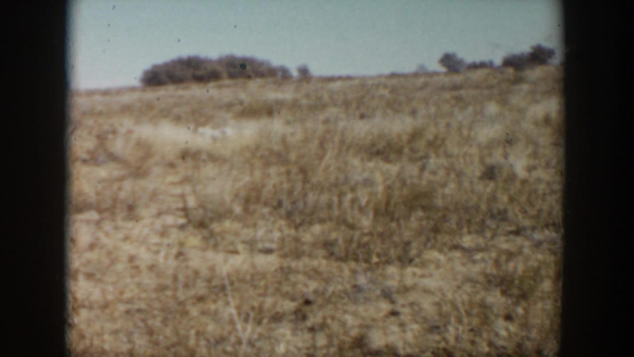 Dry prairie grass and low shrubs under a clear blue sky, framed by dark 8mm borders.
