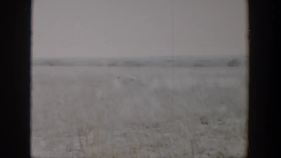 A washed-out 8mm frame shows the open Texas field with the dog faintly visible among pale grass and distant low horizon.