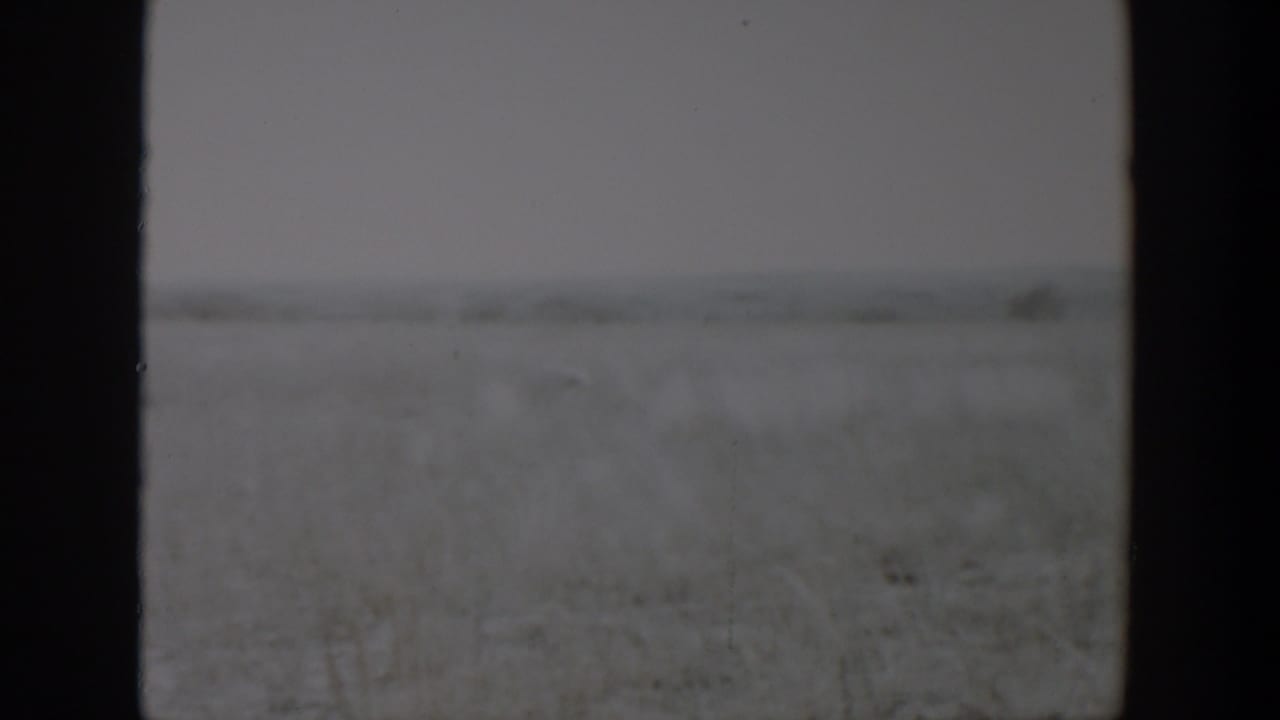 1957 Lubbock, Texas home-movie frame showing a blurred open field through dark vertical borders beneath an overcast sky.