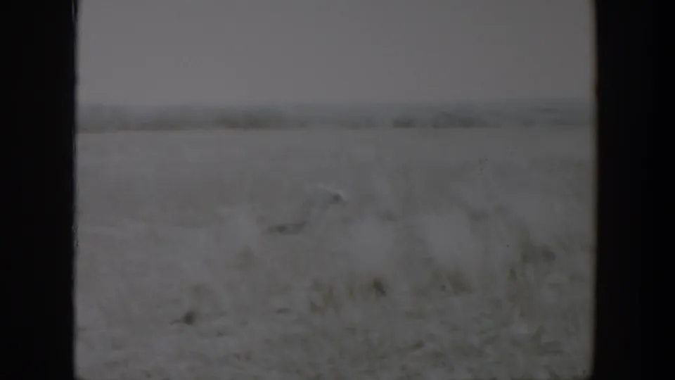 A hazy 1957 Lubbock field view with indistinct distant shapes, scrubby ground, and dark frame edges from the 8mm home-movie scan.