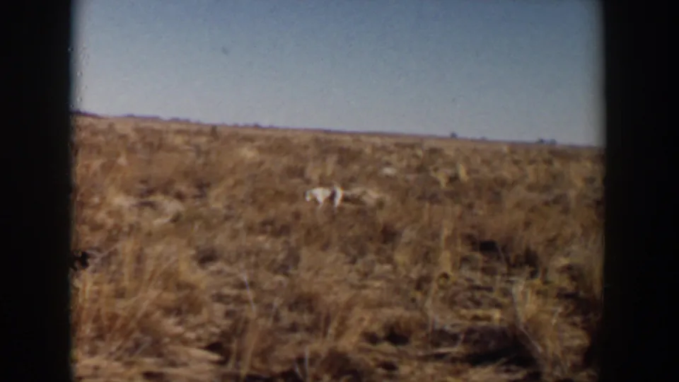 A white dog remains visible in the dry Lubbock field, small within the open 1957 8mm landscape.
