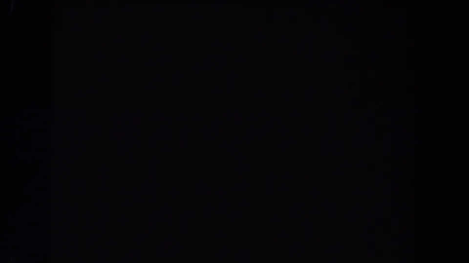 Late frame from the Van Nuys night drive showing darkness, grain, and a small curved light flare.