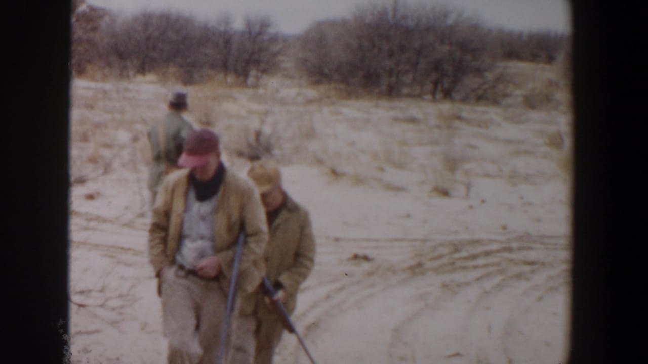 In supported 1956 Lubbock, Texas footage, three adult hunters carry rifles through sandy brushland as the lead man wears a red cap.