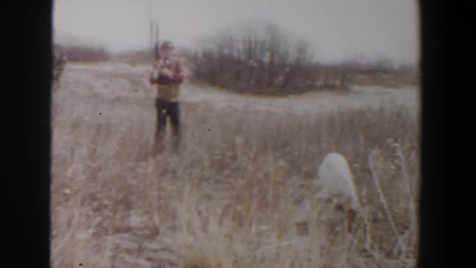 A distant adult in a hat holds a rifle while a white dog stands in dry grass in 1956 Lubbock, Texas footage.