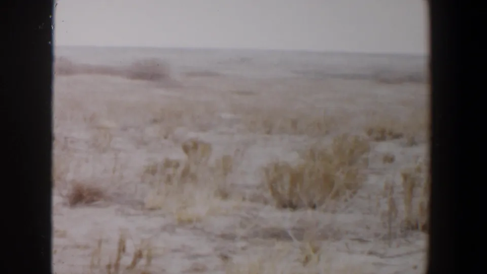 A dry open field near Lubbock shows tall grass, scattered brush, and a flat horizon after the hunters move out of frame.