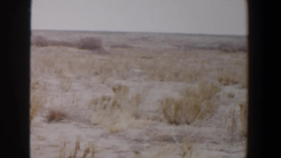 The 1956 Lubbock hunting scene ends on an open dry field with low brush, muted color, and a flat horizon.