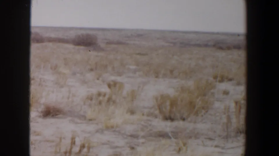 1956 Lubbock, Texas 8mm frame showing sandy open land with dry grass, low shrubs, a flat horizon, and visible gate borders.