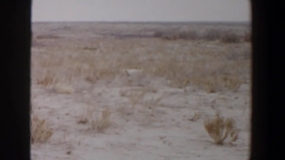 1956 Lubbock, Texas 8mm frame of flat dry terrain with sparse brush and a small pale object far back in the landscape.