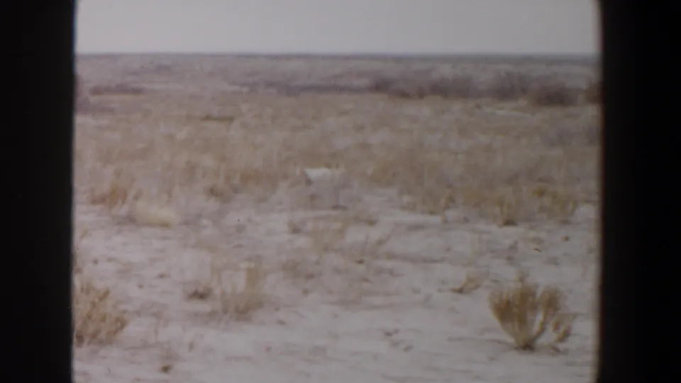 1956 Lubbock, Texas 8mm frame showing empty sandy ground, dry brush, low horizon, muted color, and visible film gate edges.