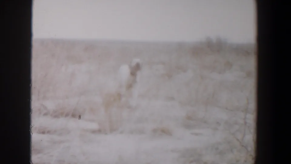 Faded 8mm frame from Lubbock, Texas, showing the pale dog partly blurred in sparse grassland.