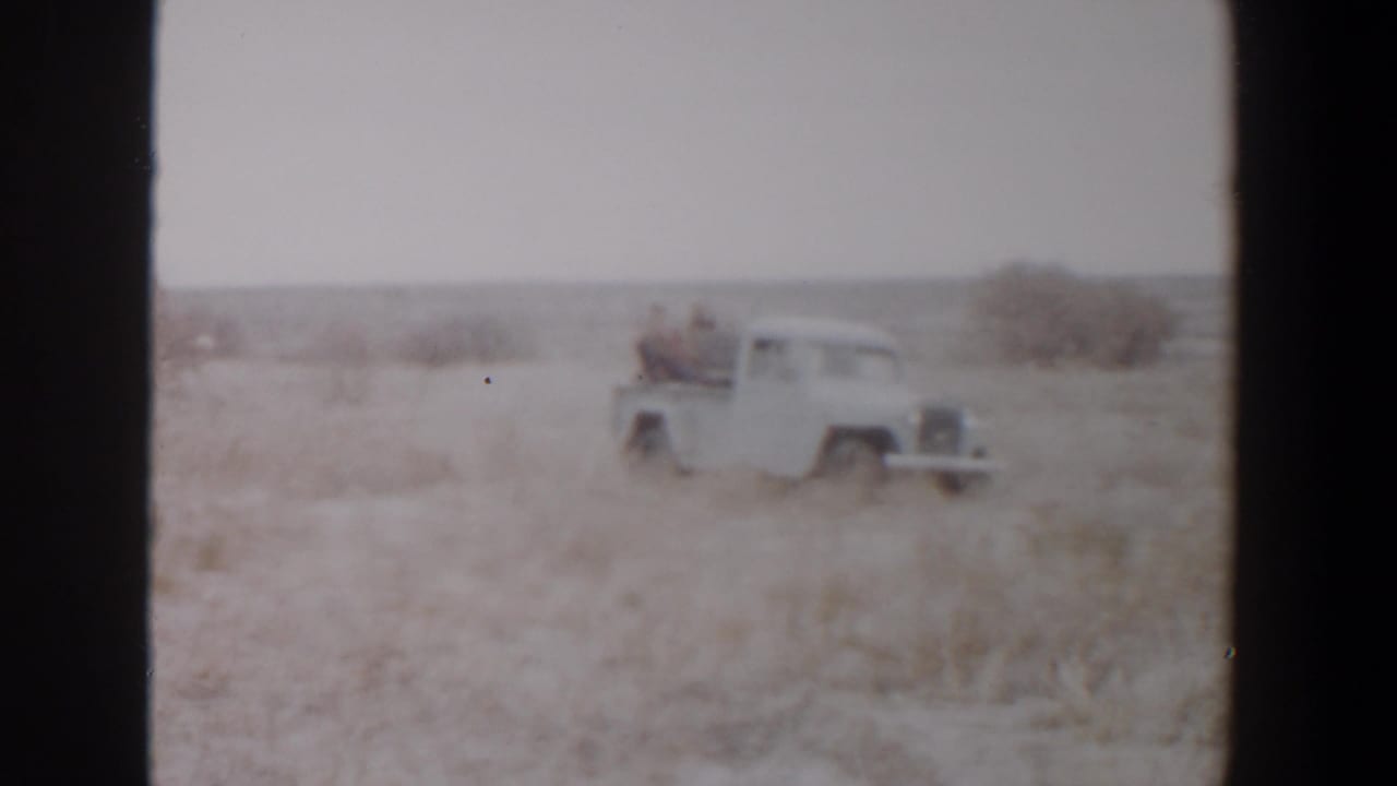 White pickup truck moving through tall dry grass with riders in the open bed.