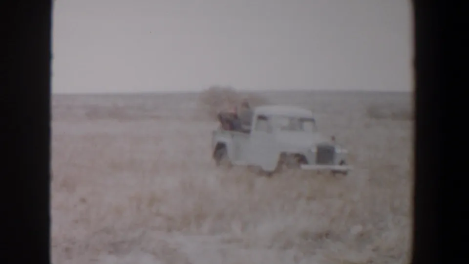 A white pickup passes through tall grass in the 1956 Lubbock-area home movie, with riders faintly visible in back.