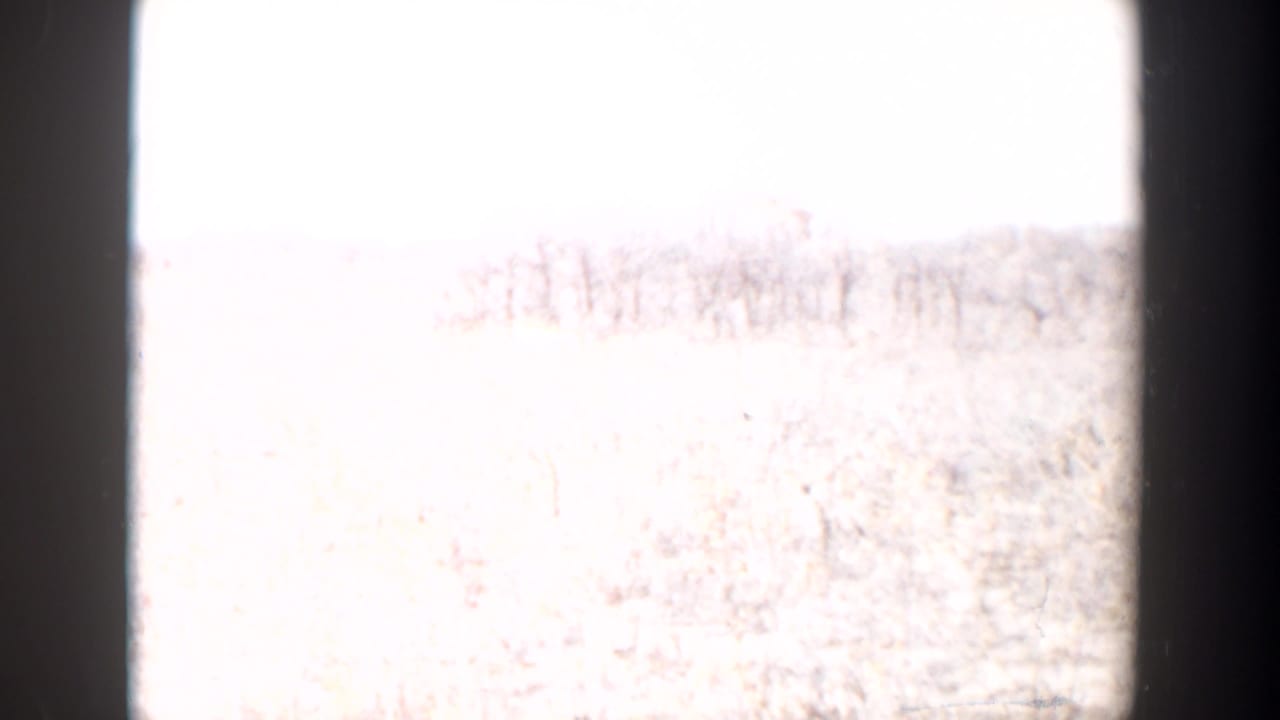 Overexposed 8mm frame of open scrubland with a distant treeline and dark frame borders.