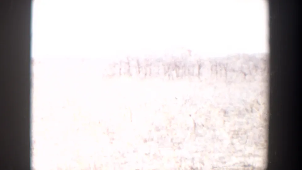 1956 Lubbock-area home-movie frame showing pale open scrubland, distant trees, and heavy exposure variation at the film edge.