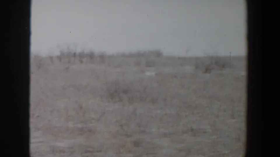 A small white dog remains visible across the dry field, framed by soft 8mm focus and muted color in likely Lubbock, Texas.