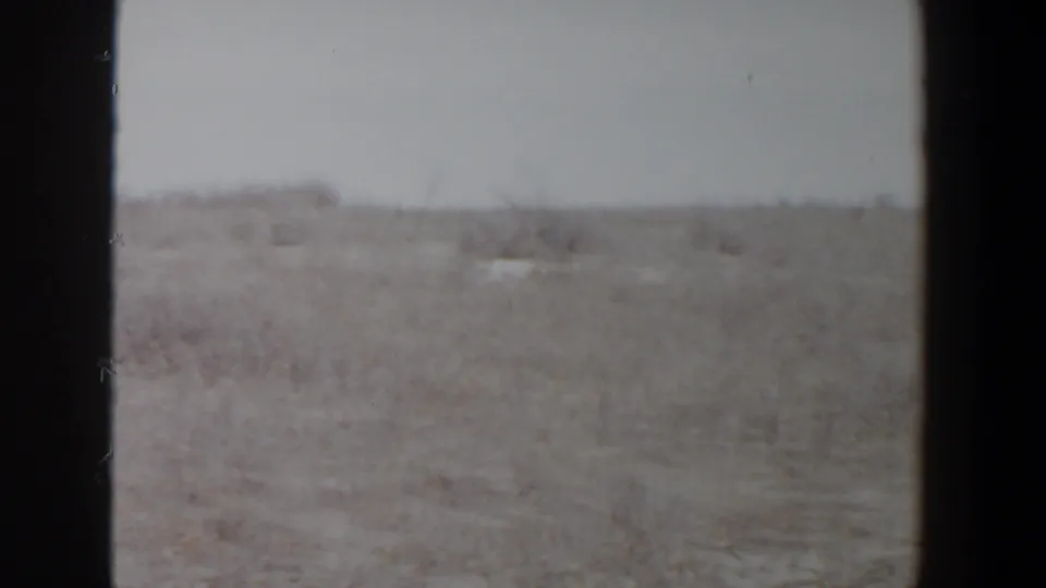 The white dog is near the right side of the frame in a flat, brush-covered field, consistent with the 1956 8mm home-movie setting.
