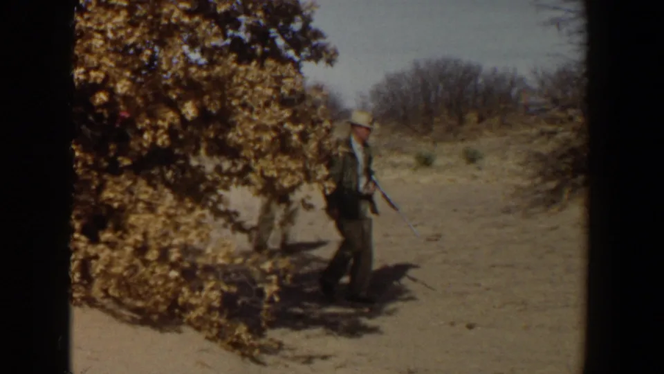 Two adult hunters walk through dry Lubbock, Texas countryside beside a leafy tree, carrying rifles in 8mm home-movie footage.