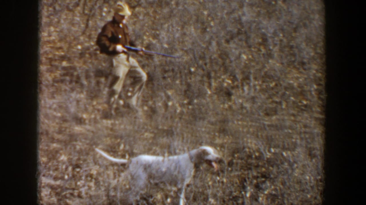 A hunter holding a rifle follows a white hunting dog through dry brush in Lubbock, Texas, according to the clip metadata.