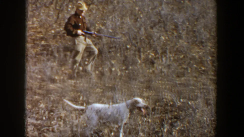 A hunter holding a rifle follows a white hunting dog through dry brush in Lubbock, Texas, according to the clip metadata.