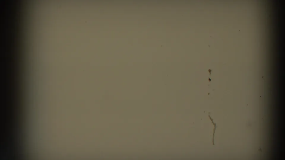 Pale 8mm home-movie frame with dust, scratches, and a dark vertical edge band, likely between visible action moments.