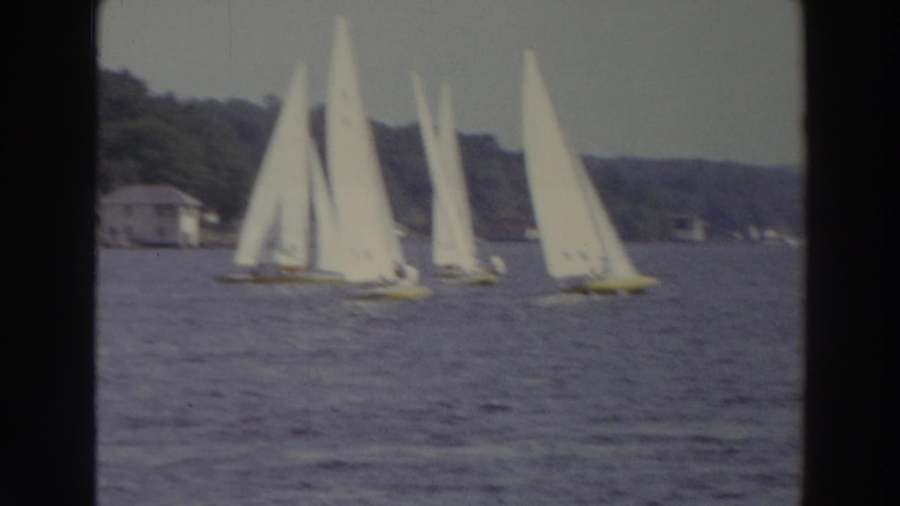 Several small sailboats with white sails move across a lake near a wooded shore.