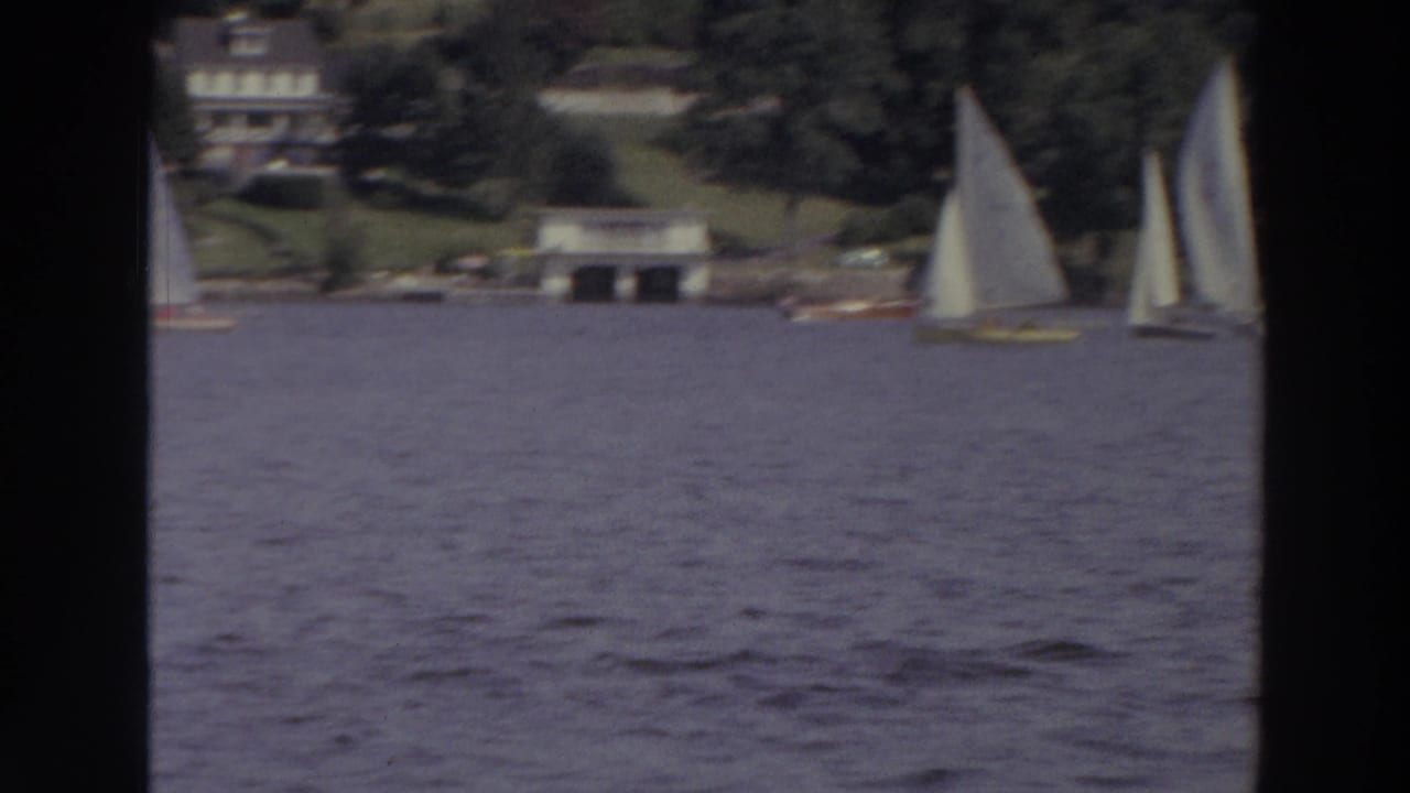 White sailboats on a lake with a wooded residential shoreline beyond.