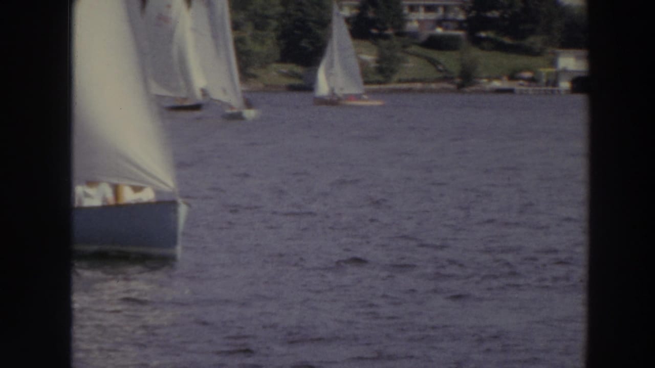 A white-sailed boat crosses the foreground of a Madison lake scene, with more sailboats and a residential shoreline in the background.