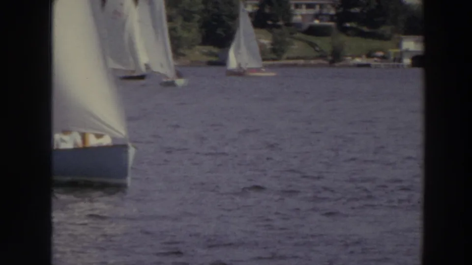 A white-sailed boat crosses the foreground of a Madison lake scene, with more sailboats and a residential shoreline in the background.