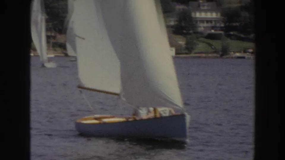 A white-sailed boat glides across the foreground on a Madison lake, with other sails, trees, lawns, and houses in soft focus behind it.