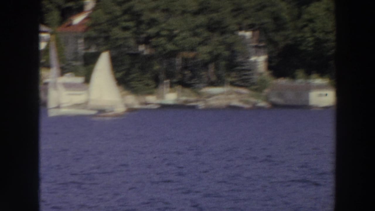 Small white sailboat on blue water near a wooded residential shoreline.