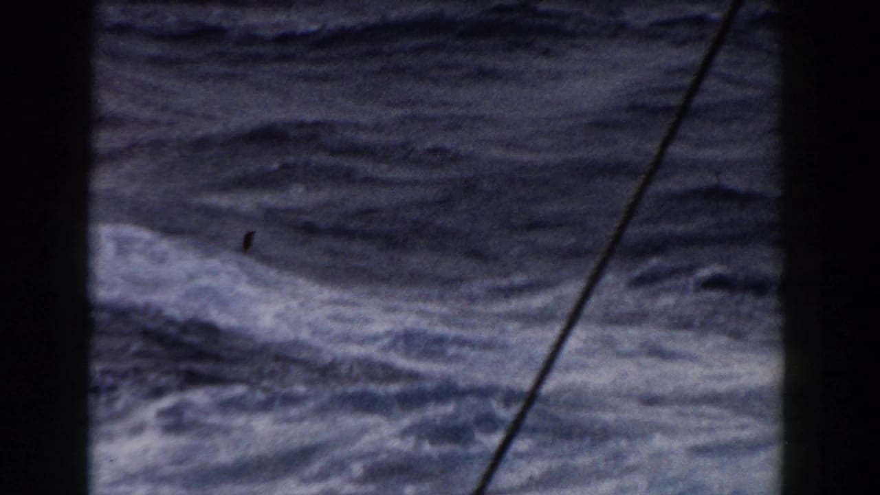 Stormy ocean swells and whitecaps appear through dark shipboard framing, with a diagonal cable or rigging line visible in the 8mm home-movie frame.