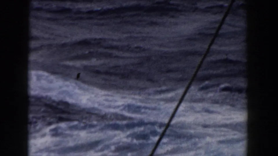 Stormy ocean swells and whitecaps appear through dark shipboard framing, with a diagonal cable or rigging line visible in the 8mm home-movie frame.