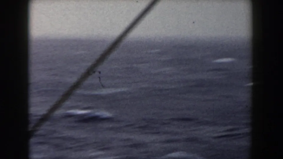 The camera looks over choppy open water from a vessel, with a dark vertical edge and diagonal cable crossing the blue-gray 8mm frame.