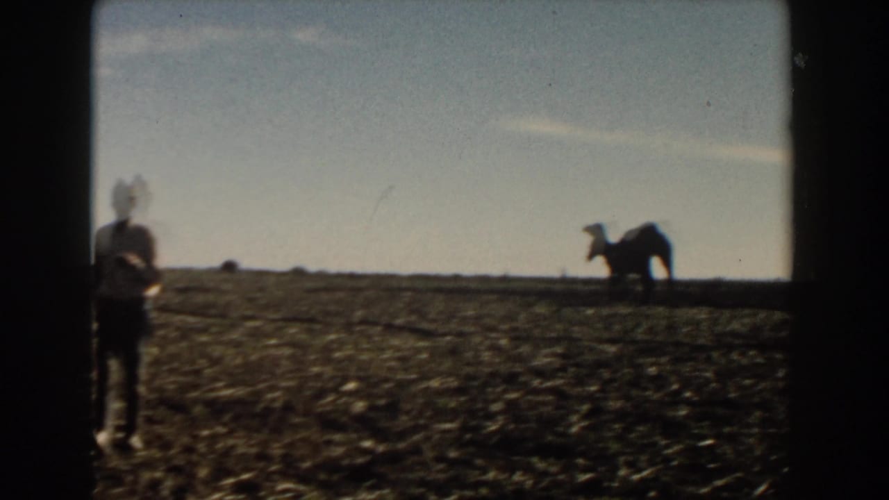 Man in the foreground with a distant camel silhouette near the horizon.