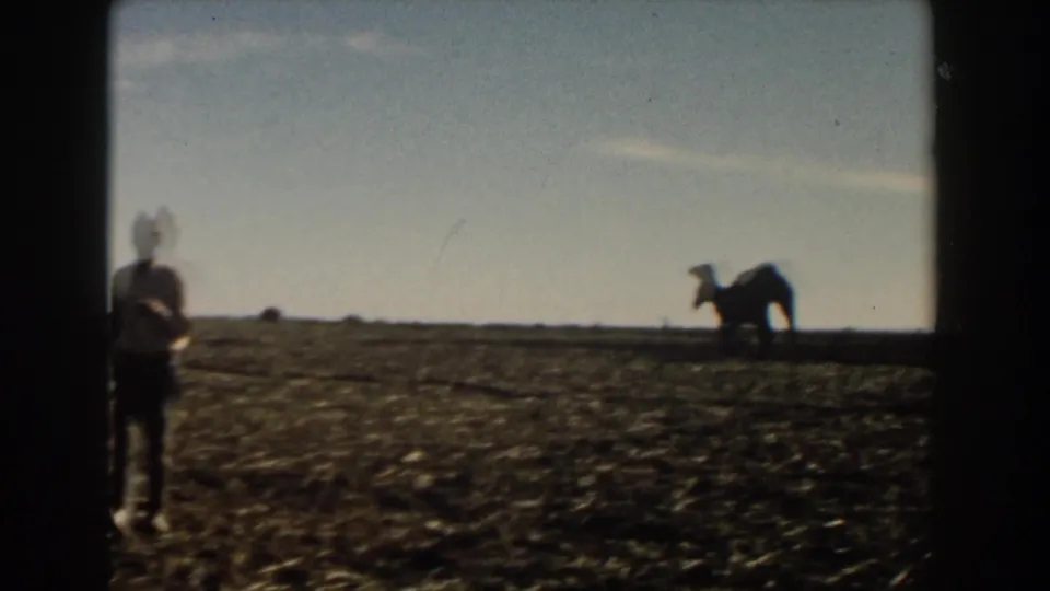 A man stands or moves in the field while a camel appears far behind him against the low skyline.