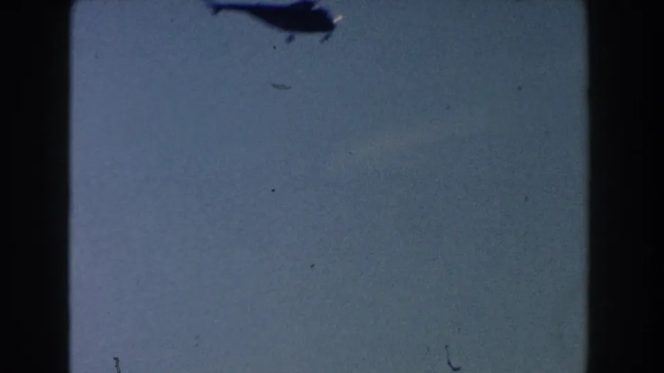 A distant helicopter silhouette appears high against a pale sky in the 1960 Dearborn, Michigan home-movie footage.