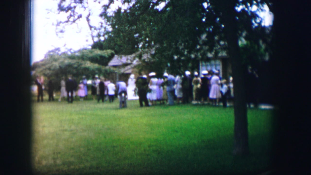 Wedding guests gathered on a front lawn beneath trees near a house.