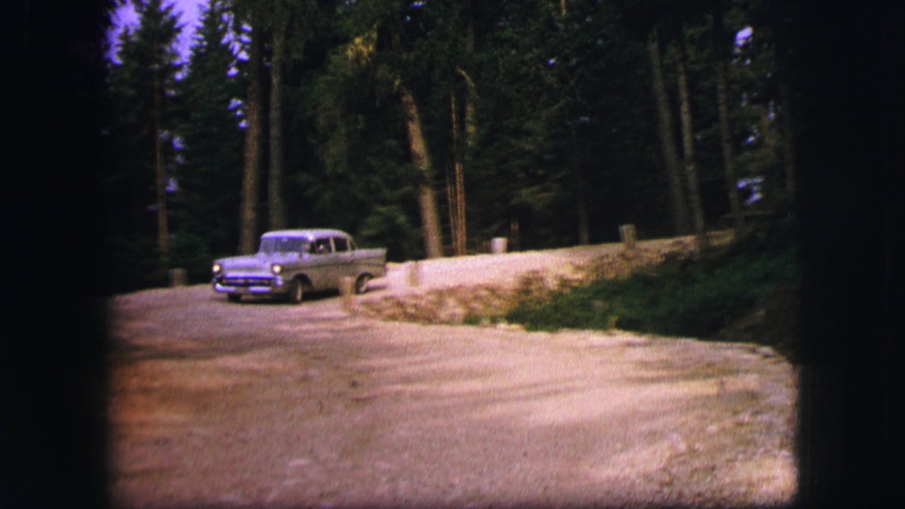 Grey car turning toward the camera on a road lined with trees and stonework.