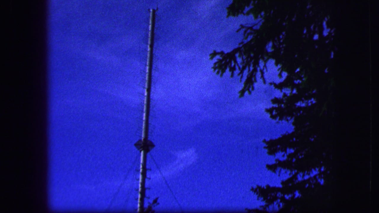 Tall narrow pole against a blue sky with conifer branches at the edge.