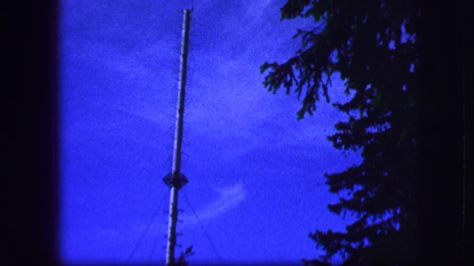A second view of the tall pole or mast appears beside evergreen branches under saturated blue sky.