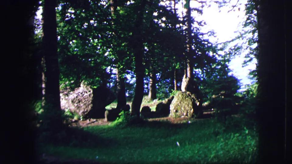Saint Moritz forest scene with grass, tree trunks, large rocks, and sunlit foliage in 1963 home-movie color.