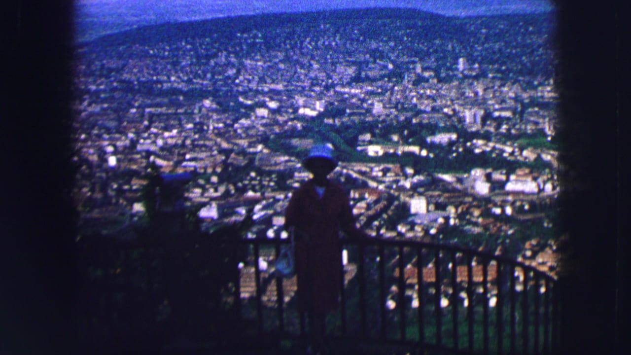 Silhouetted person by a railing overlooking a distant town and hills.