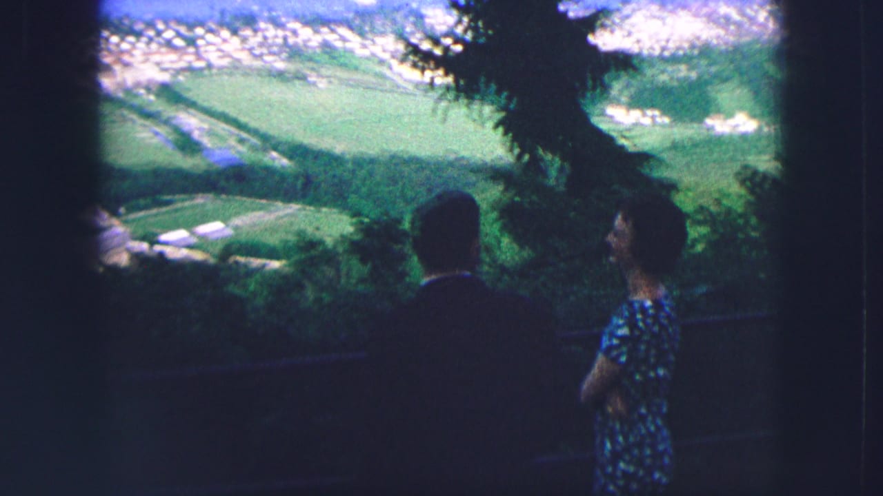 Two silhouetted adults stand near trees while looking toward fields and a lake below.
