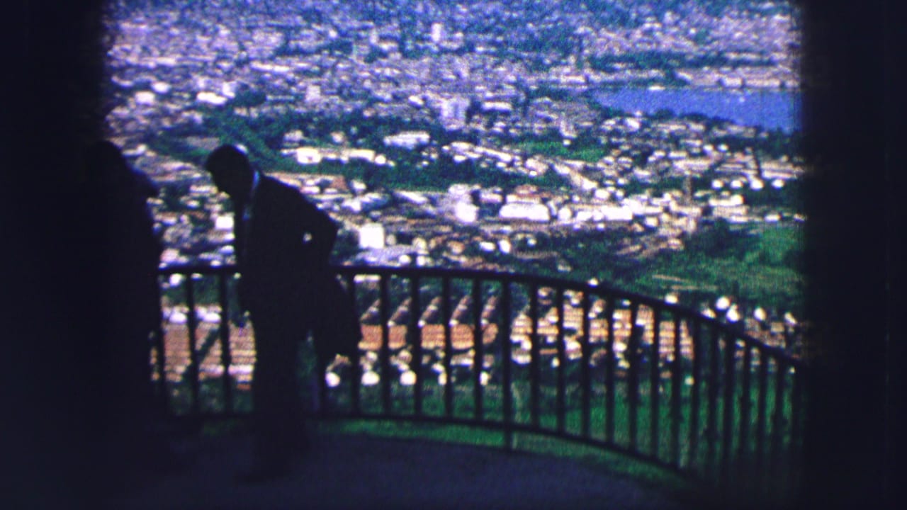 Silhouetted person beside a curved railing above a distant city and water.
