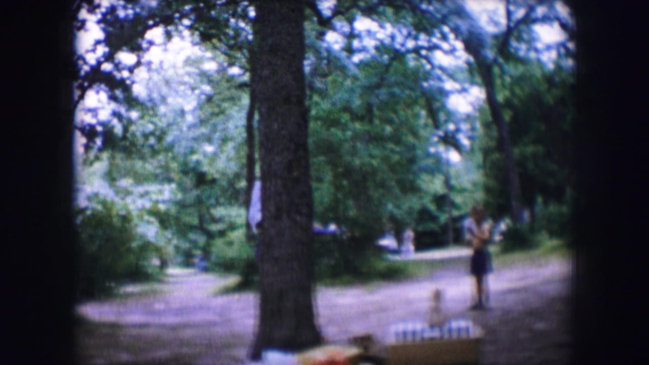 Wooded park path with people in the distance and picnic items near the camera.